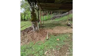 Venta finca en la Garrucha Fredonia Suroeste Antioqueño