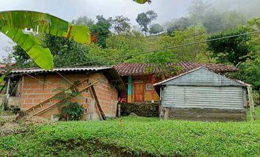 Venta finca en la Garrucha Fredonia Suroeste Antioqueño