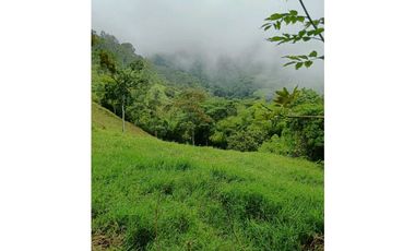 Venta finca en la Garrucha Fredonia Suroeste Antioqueño
