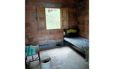 Venta finca en la Garrucha Fredonia Suroeste Antioqueño