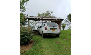 Venta finca en la Garrucha Fredonia Suroeste Antioqueño
