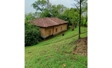 Venta finca en la Garrucha Fredonia Suroeste Antioqueño