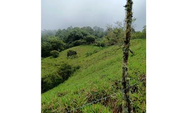 Venta finca en la Garrucha Fredonia Suroeste Antioqueño