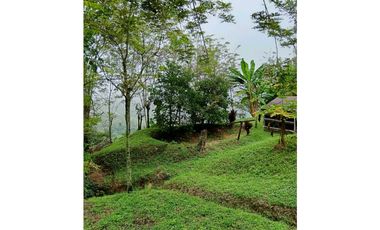 Venta finca en la Garrucha Fredonia Suroeste Antioqueño