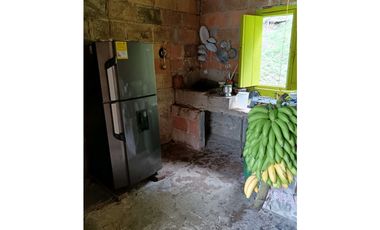 Venta finca en la Garrucha Fredonia Suroeste Antioqueño