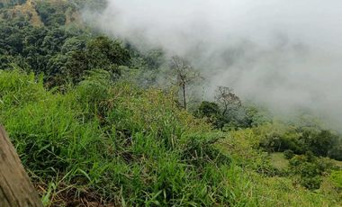 Venta finca en la Garrucha Fredonia Suroeste Antioqueño