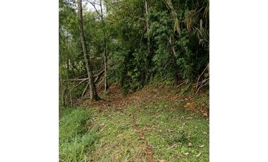 Venta finca en la Garrucha Fredonia Suroeste Antioqueño