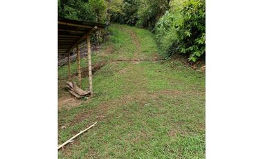 Venta finca en la Garrucha Fredonia Suroeste Antioqueño