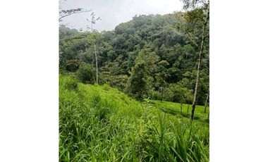Venta finca en la Garrucha Fredonia Suroeste Antioqueño