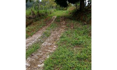 Venta finca en la Garrucha Fredonia Suroeste Antioqueño