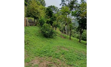 Venta finca en la Garrucha Fredonia Suroeste Antioqueño