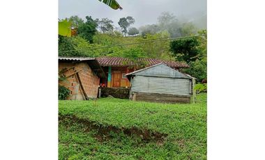 Venta finca en la Garrucha Fredonia Suroeste Antioqueño