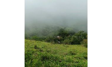 Venta finca en la Garrucha Fredonia Suroeste Antioqueño