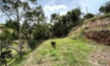CASA CAMPESTRE EN GUARNE