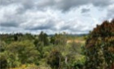 CASA CAMPESTRE EN GUARNE
