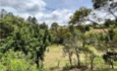 CASA CAMPESTRE EN GUARNE