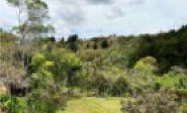 CASA CAMPESTRE EN GUARNE