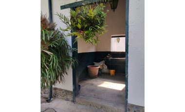 Venta finca en Palomos Fredonia suroeste antioqueño