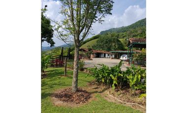 Venta finca en Palomos Fredonia suroeste antioqueño