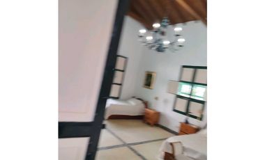 Venta finca en Palomos Fredonia suroeste antioqueño