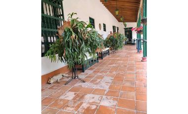 Venta finca en Palomos Fredonia suroeste antioqueño