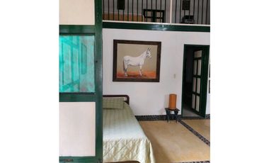 Venta finca en Palomos Fredonia suroeste antioqueño