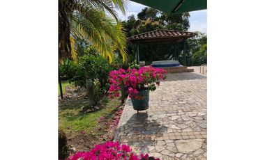 Venta finca en Palomos Fredonia suroeste antioqueño