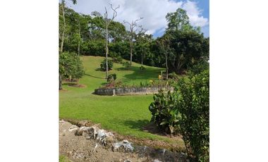 Venta finca en Palomos Fredonia suroeste antioqueño