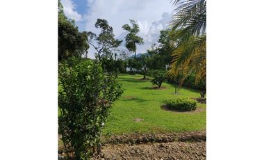 Venta finca en Palomos Fredonia suroeste antioqueño