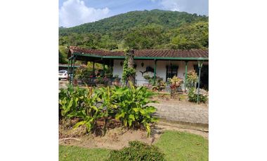 Venta finca en Palomos Fredonia suroeste antioqueño