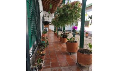 Venta finca en Palomos Fredonia suroeste antioqueño
