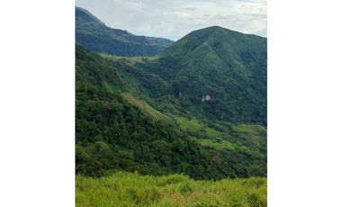 Venta finca lechera el cerro Fredonia suroeste Antioqueño