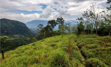 Venta finca lechera el cerro Fredonia suroeste Antioqueño