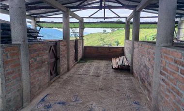 Venta finca lechera el cerro Fredonia suroeste Antioqueño