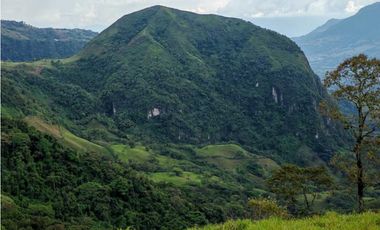Venta finca lechera el cerro Fredonia suroeste Antioqueño