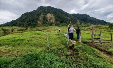 Venta finca lechera el cerro Fredonia suroeste Antioqueño