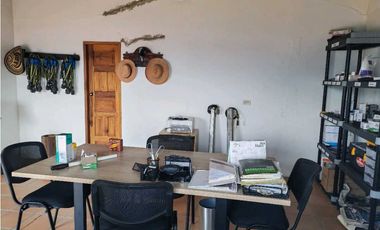 Venta finca lechera el cerro Fredonia suroeste Antioqueño