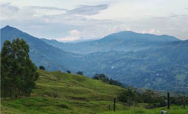 Venta finca lechera el cerro Fredonia suroeste Antioqueño