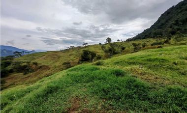 Venta finca lechera el cerro Fredonia suroeste Antioqueño