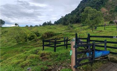 Venta finca lechera el cerro Fredonia suroeste Antioqueño