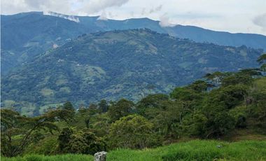 Venta finca lechera el cerro Fredonia suroeste Antioqueño