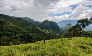 Venta finca lechera el cerro Fredonia suroeste Antioqueño