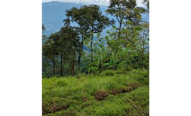Venta finca lechera el cerro Fredonia suroeste Antioqueño