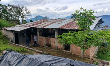 Venta finca lechera el cerro Fredonia suroeste Antioqueño
