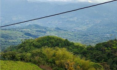 Venta finca lechera el cerro Fredonia suroeste Antioqueño