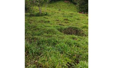 Venta finca lechera el cerro Fredonia suroeste Antioqueño