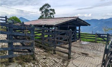 Venta finca lechera el cerro Fredonia suroeste Antioqueño