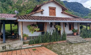 Venta finca lechera el cerro Fredonia suroeste Antioqueño