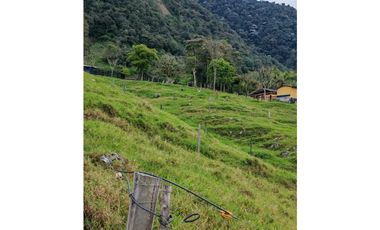 Venta finca lechera el cerro Fredonia suroeste Antioqueño
