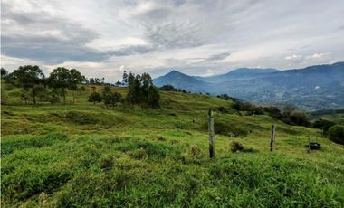 Venta finca lechera el cerro Fredonia suroeste Antioqueño